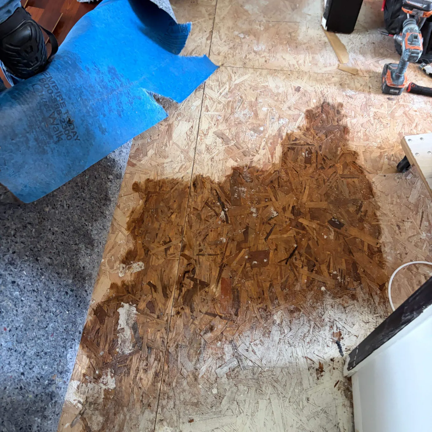 Thermal imaging during water damage assessment in Stonegate residence