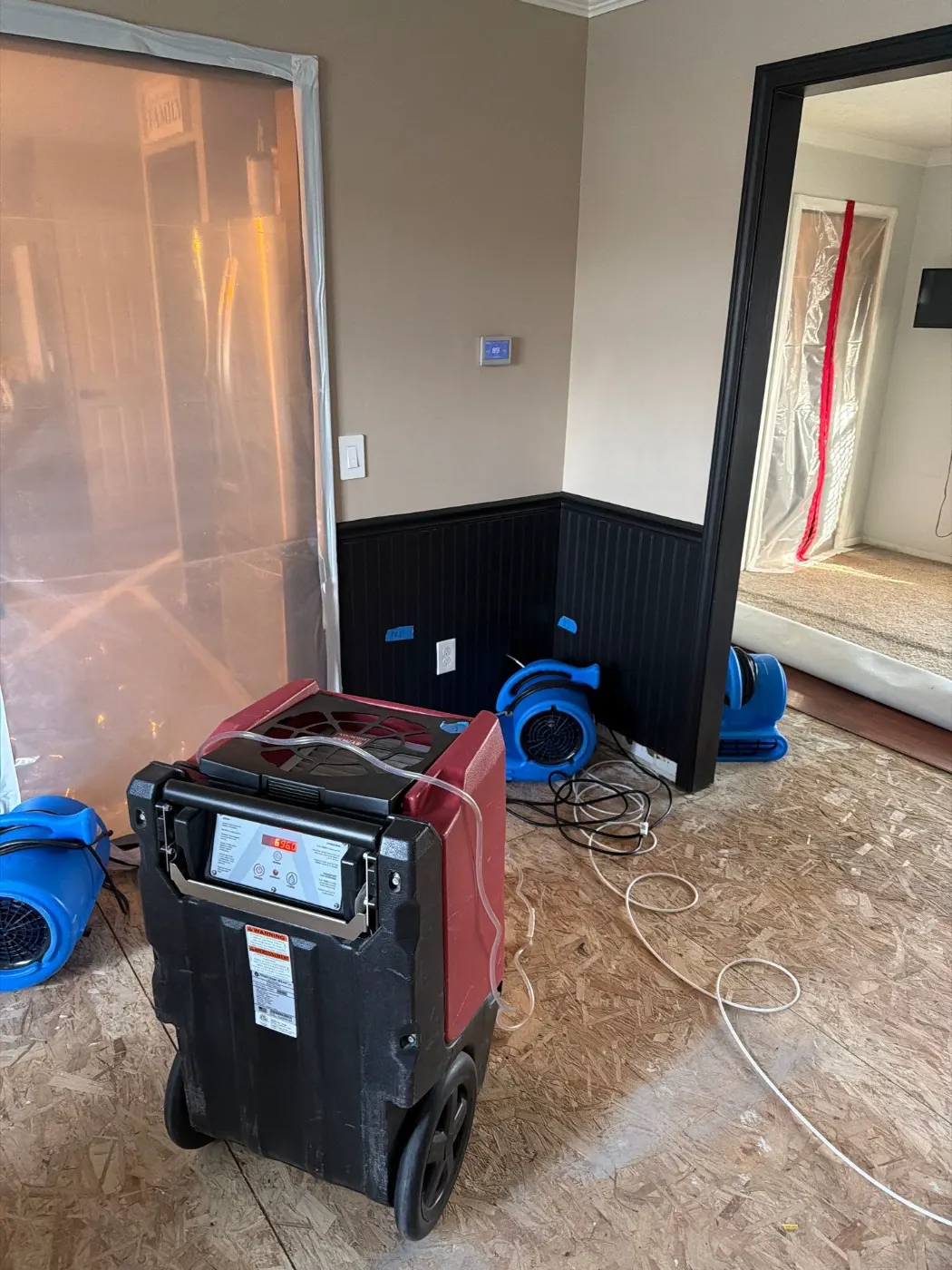 Free Water Damage Estimate in Stonegate: Real Inspections
